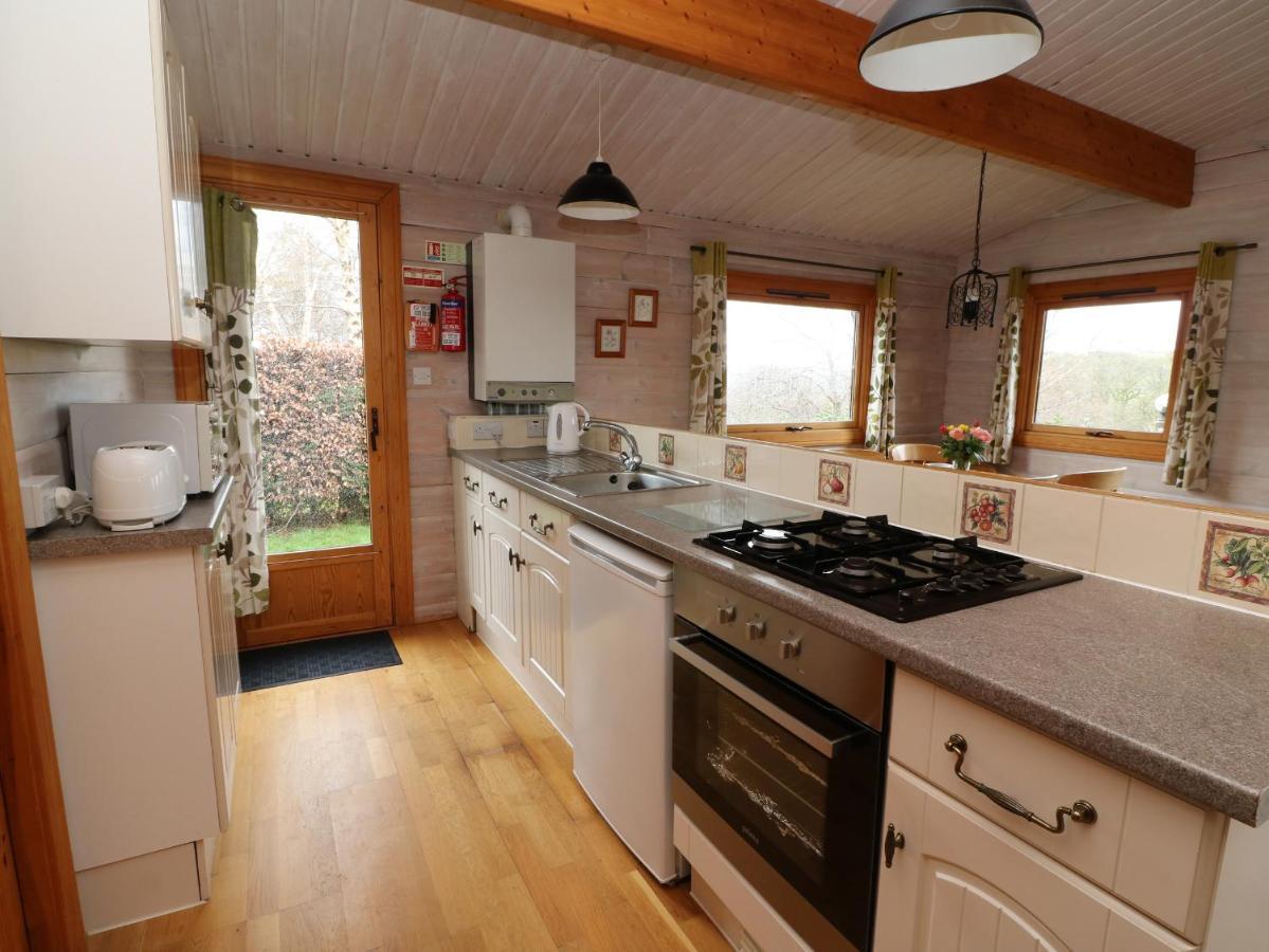 Barn Owl Lodge Rhayader Exteriör bild